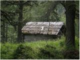 Najberž - Petzen (Kordeschkopf) (Peca (Kordeževa glava))